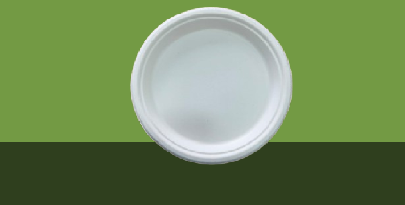 10'' Round Plate Deep