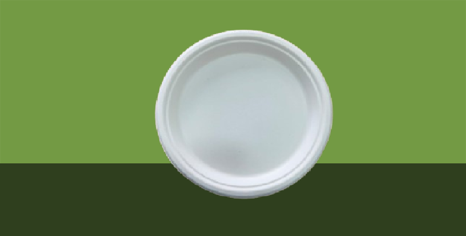 9'' Round Plate Deep